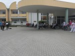 IMG_1950