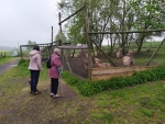 IMG_20190516_113117