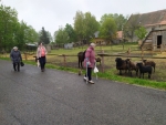 IMG_20190516_113753