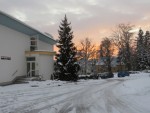 IMG_5161